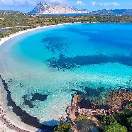 Gli Asfodeli 2* San Teodoro (Sardinia)